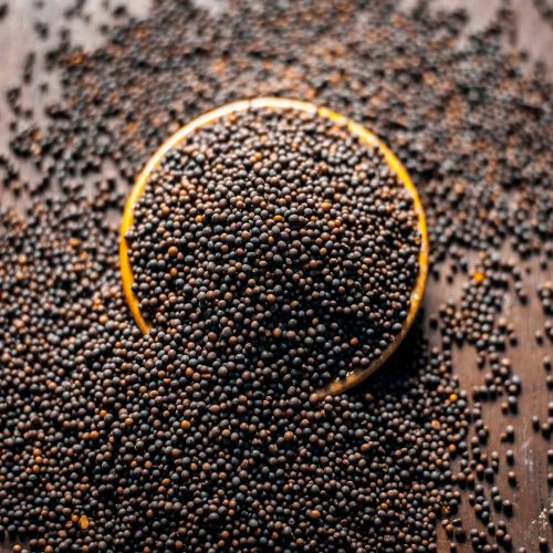 black mustard